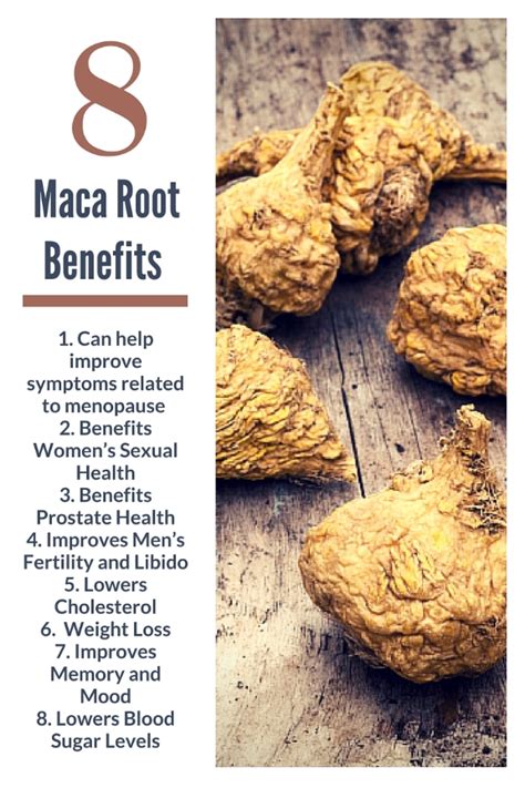 maca root benefits and side effects.